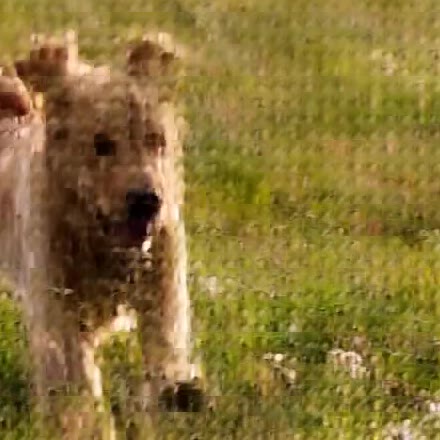 Detail crop of frame 60 generated with the normal scheduler